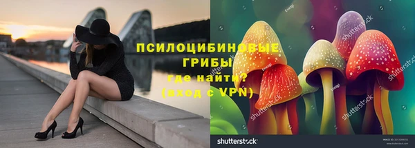 прущий лед Инта