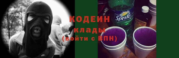 прущий лед Инта