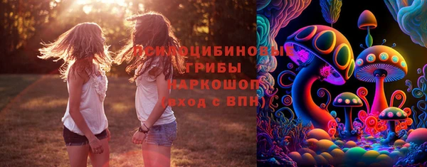 прущий лед Инта
