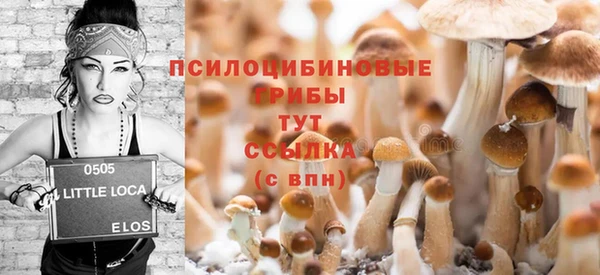 тгк Иннополис
