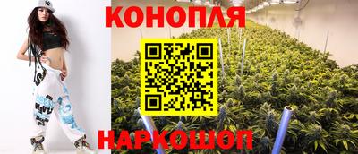 молекула духа Коммунар