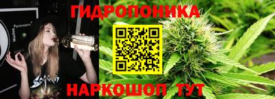 молекула духа Коммунар